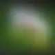 Zagraj Let It Ride z Playtech w {"id":88,"name":"PlayZilla","design":{"logo":"playzilla-logo-lnX5E7.svg","favicon":"playzilla-favicon-KWV5Bv.png","banner_poker":"playzilla-poker-4LcMzv.webp","banner_mobile":"playzilla-mobile-kzgk8v.webp","block_bg_color":"#172554","image_bg_color":"#0F172A","banner_bg_color":"#172554","block_text_color":"#ffffff","primary_bg_color":"#0f172a","banner_text_color":"#fff","footer_logos_type":"white","block_round_radius":"0.75rem","primary_text_color":"#ffffff","button_round_radius":"9999px","banner_welcome_bonus":"playzilla-welcome-bonus-gZtFAN.webp","primary_button_bg_color":"#4ade80","primary_button_text_color":"#172554","secondary_button_bg_color":"#172554","secondary_button_text_color":"#fff"},"created_at":"2025-05-15T16:03:30.000000Z","updated_at":"2025-05-19T08:48:30.000000Z","deleted_at":null}